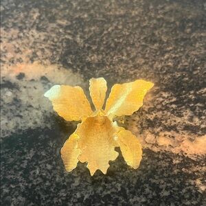 Gold Orchid Brooch